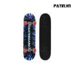 Ván Trượt Penny CRUISER CENTOSY 05