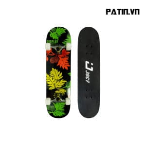 Ván Trượt Skatebroad Jocy 03