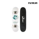 Ván Trượt Skatebroad Jocy 06