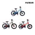 Xe Đạp Trẻ Em LanQ 80