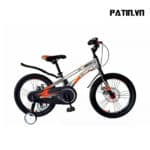 Xe Đạp Trẻ Em LanQ 80