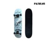 Ván Trượt Skateboard Coolstep 1022