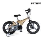 Xe Đạp Trẻ Em LanQ 41G